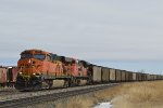 BNSF 5911 - Roster